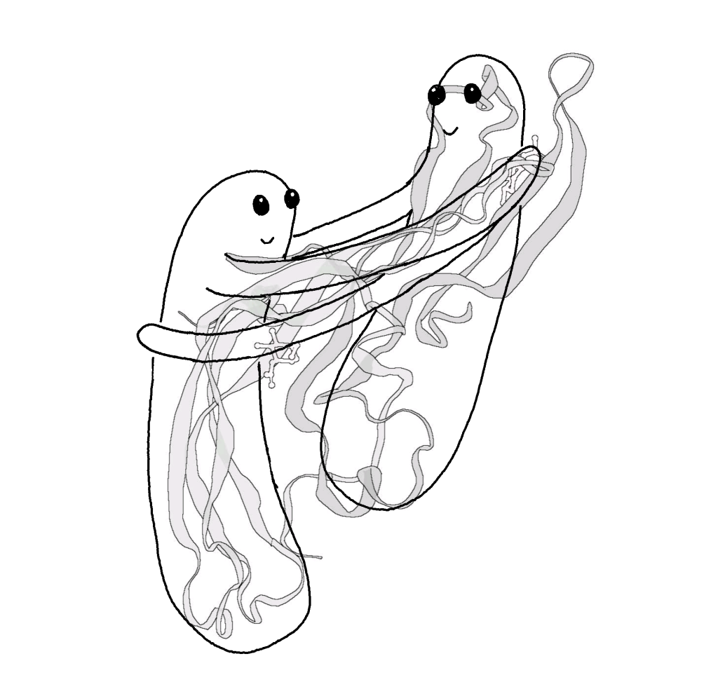 Doodle of two blob characters hugging overlaid on the three-dimensional model of hCG.